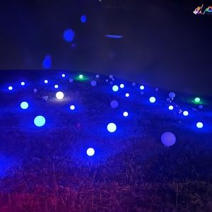 Meet your Posher, Rae